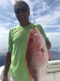 Belleair Bluffs Report Photo 2