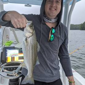Cumming Report Photo 2
