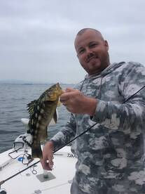 Half Day Calico wide open!