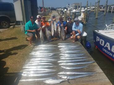 Nags Head Report Photo 1
