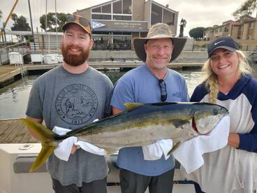 Big Yellows are Back