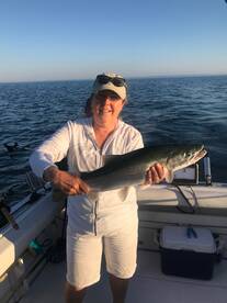 Toronto Report Photo 2