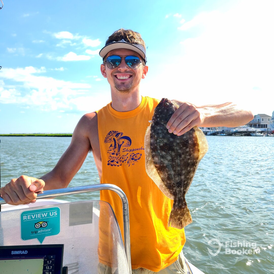 Stone Harbor Report Photo 0