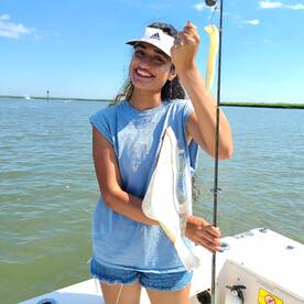 Stone Harbor Report Photo 1