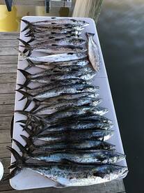 LOUISIANA FISHING REPORT - MAY 17, 2020