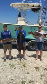 Poquoson Report Photo 2