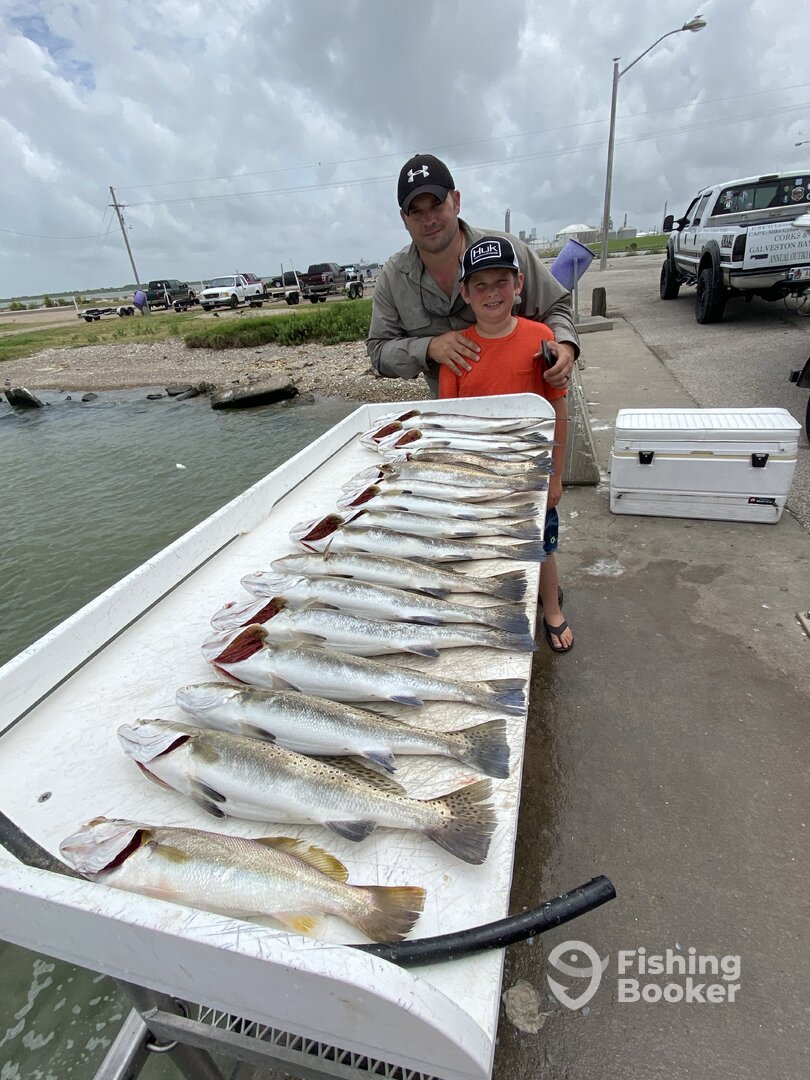 Texas City Report Photo 0