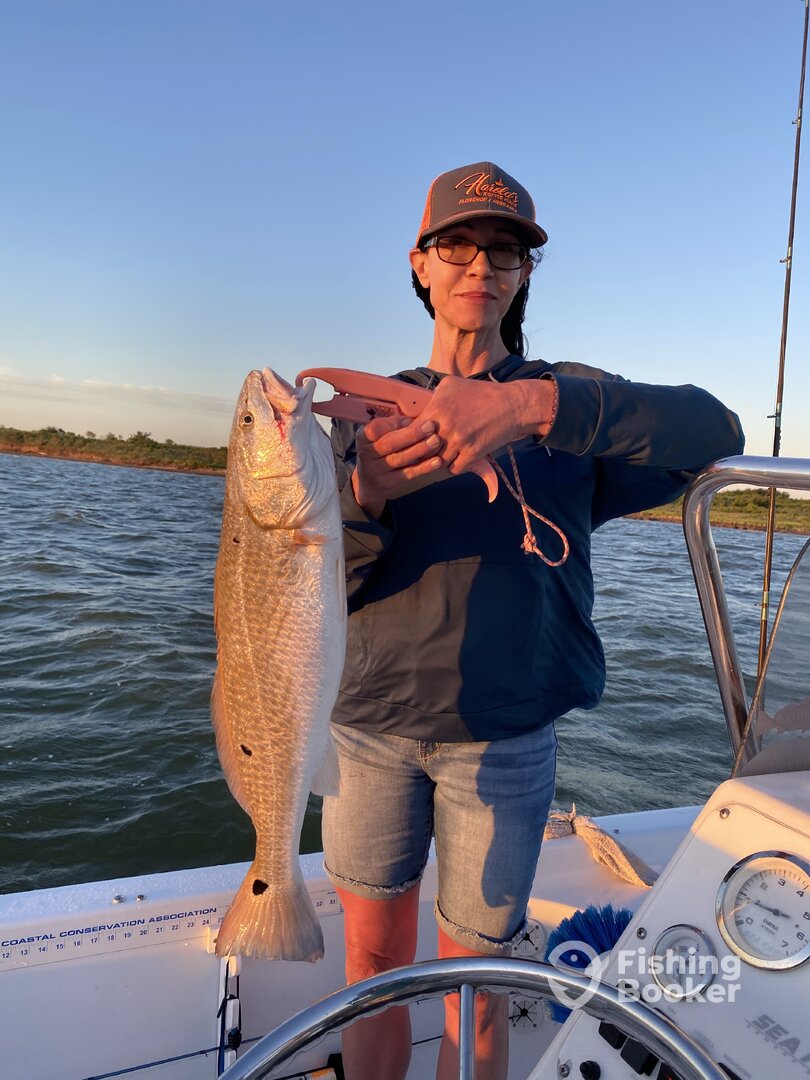 Texas City Report Photo 0