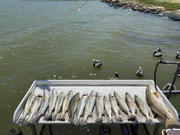 Texas City Report Photo 2