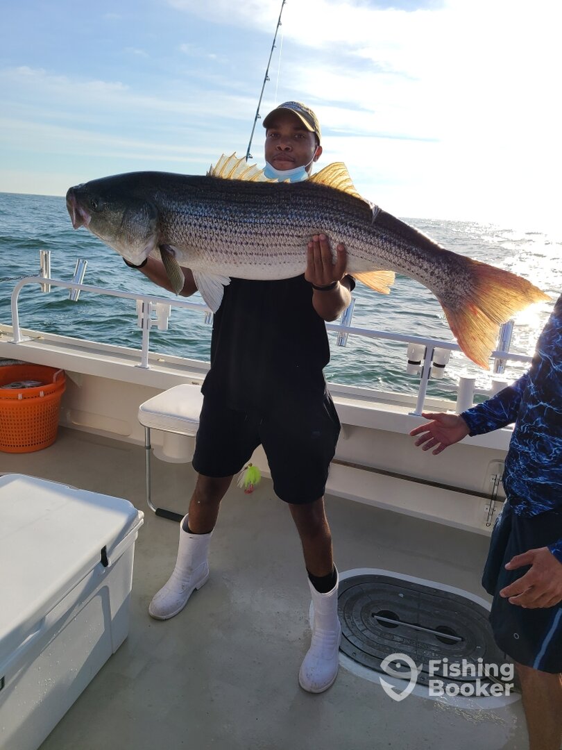 Montauk Report Photo 0