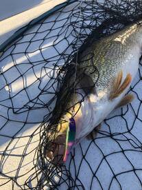 Nanticoke Report Photo 2