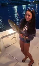 Striped bass