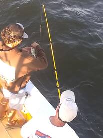 Wanchese Report Photo 1