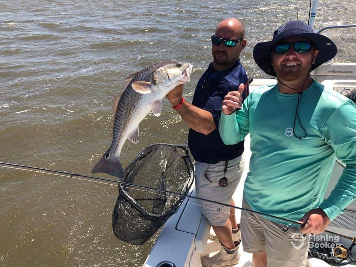 St. Bernard Report Photo 0