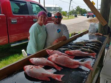 St. Bernard Report Photo 1