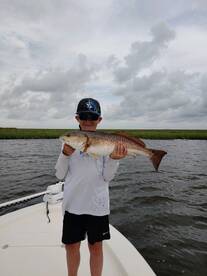 St. Bernard Report Photo 1