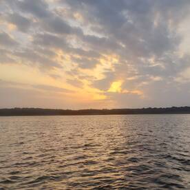 Grapevine Report Photo 1