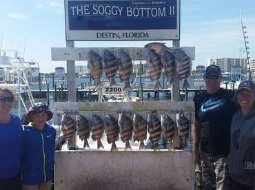 Fort Walton Beach Report Photo 1