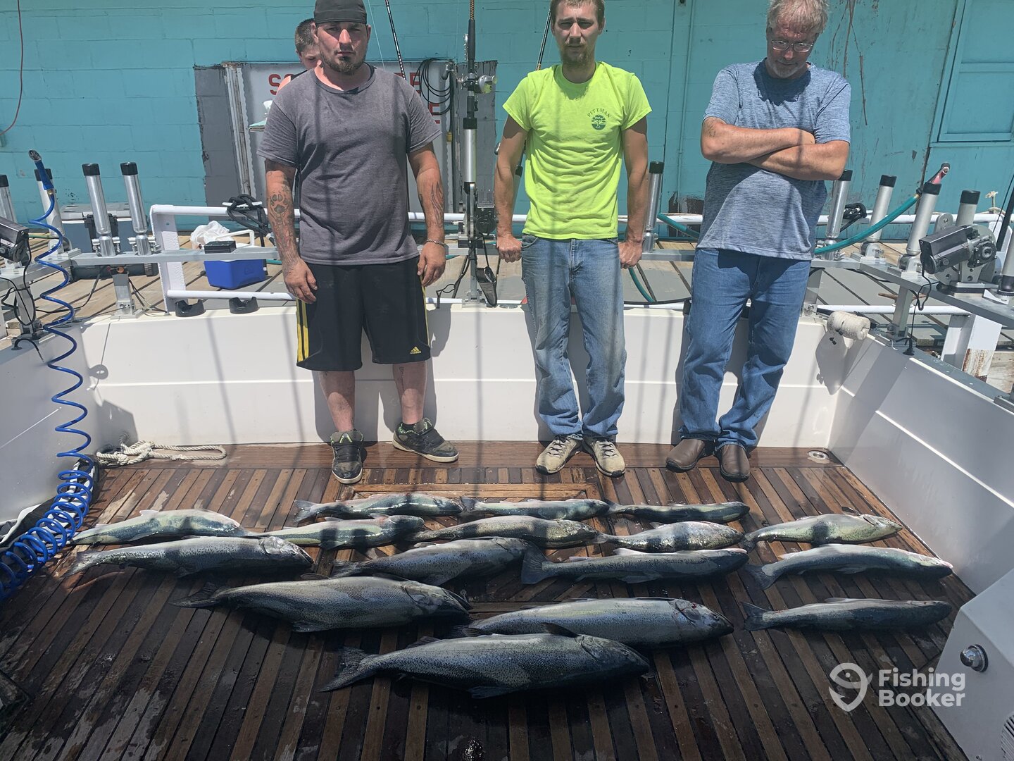 Olcott Report Photo 0