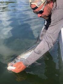 Sarasota Report Photo 2