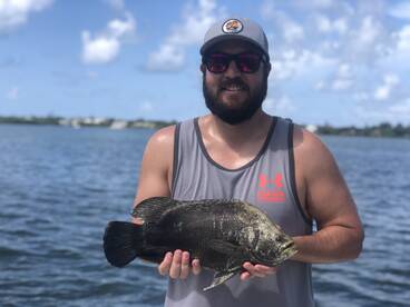 Sarasota Report Photo 1