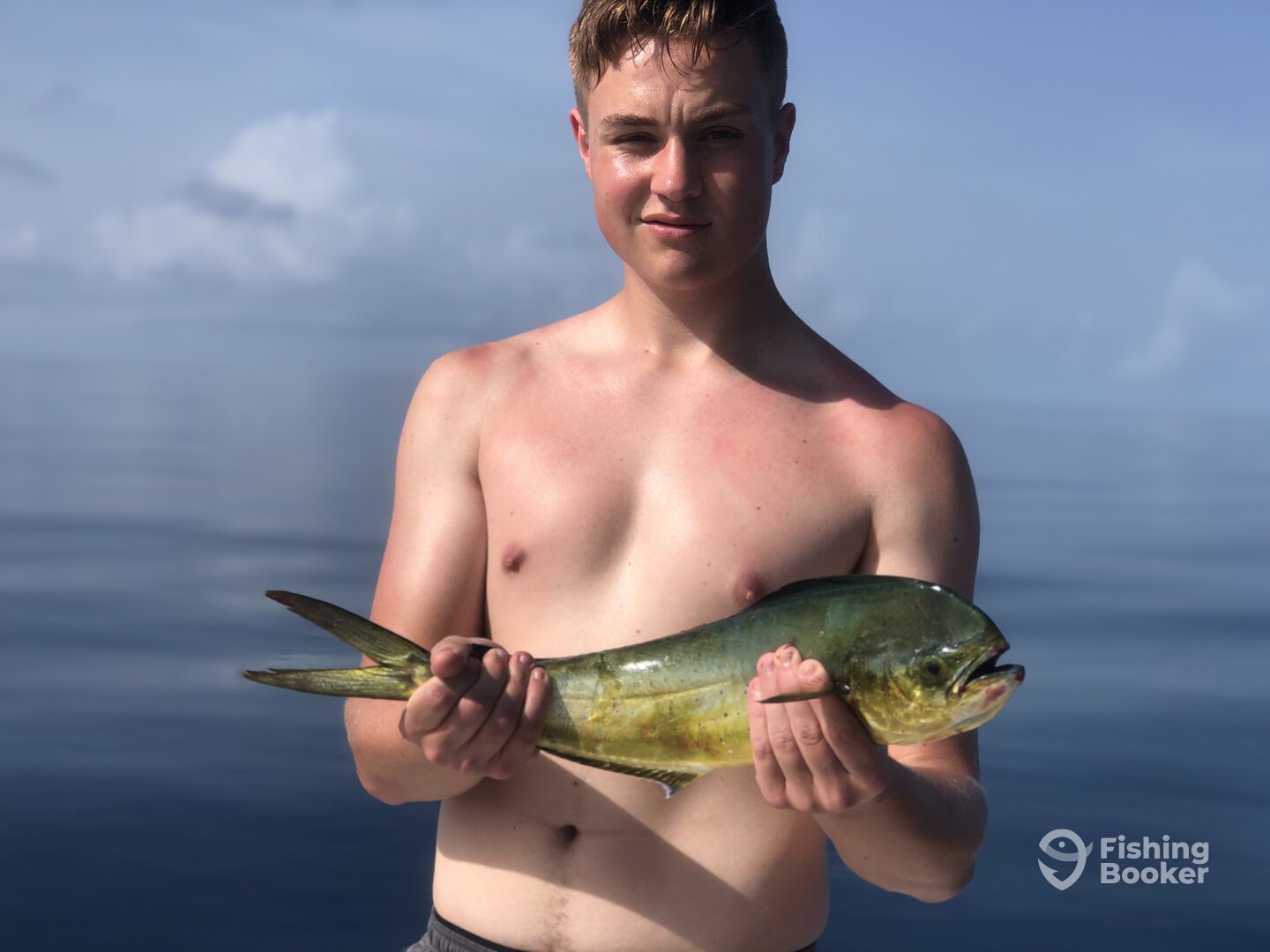 Sarasota Report Photo 0