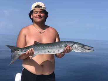 Sarasota Report Photo 1