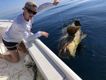 Sarasota Report Photo 1