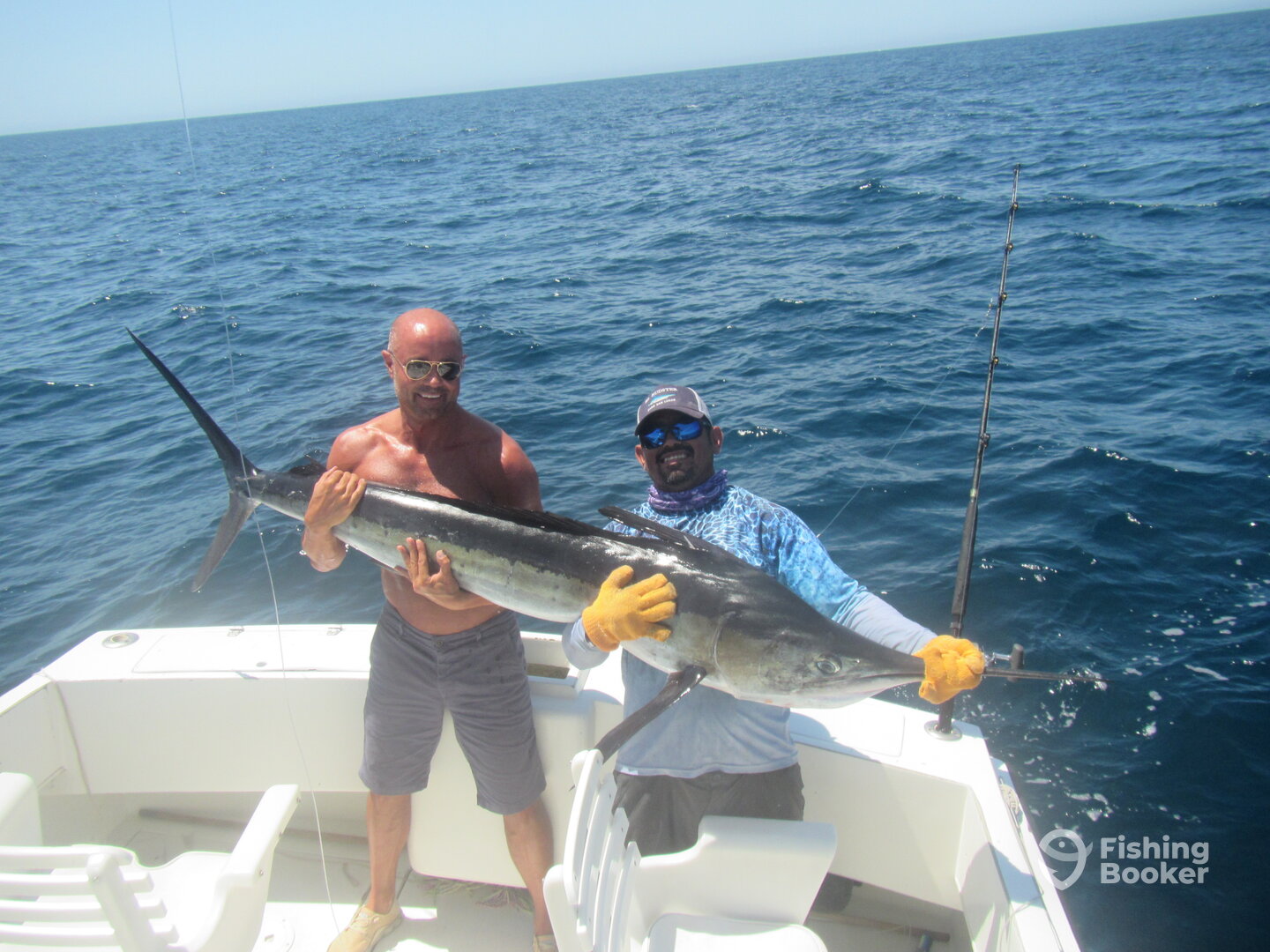 Cabo San Lucas Report Photo 0