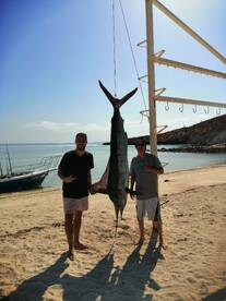 La Paz Report Photo 2