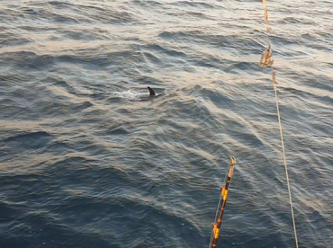 They are already here...