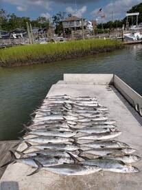 Wilmington Report Photo 2