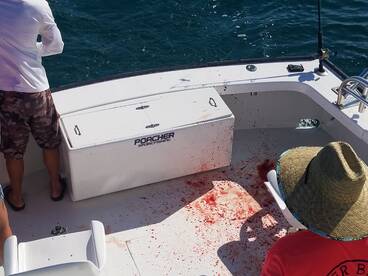 Nags Head Report Photo 2