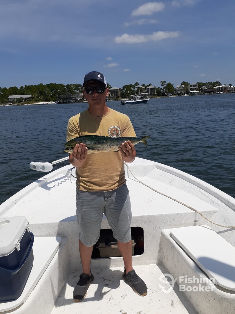 Orange Beach Report Photo 0