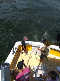 Wanchese Report Photo 2