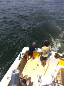 Wanchese Report Photo 1