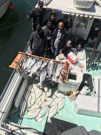 San Francisco Report Photo 2