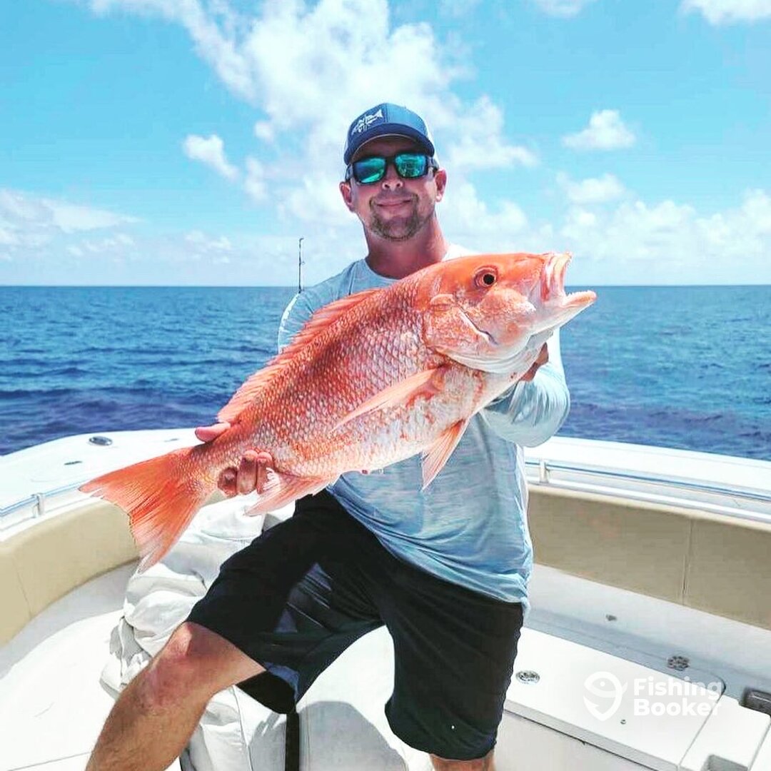 Cape Coral Report Photo 0