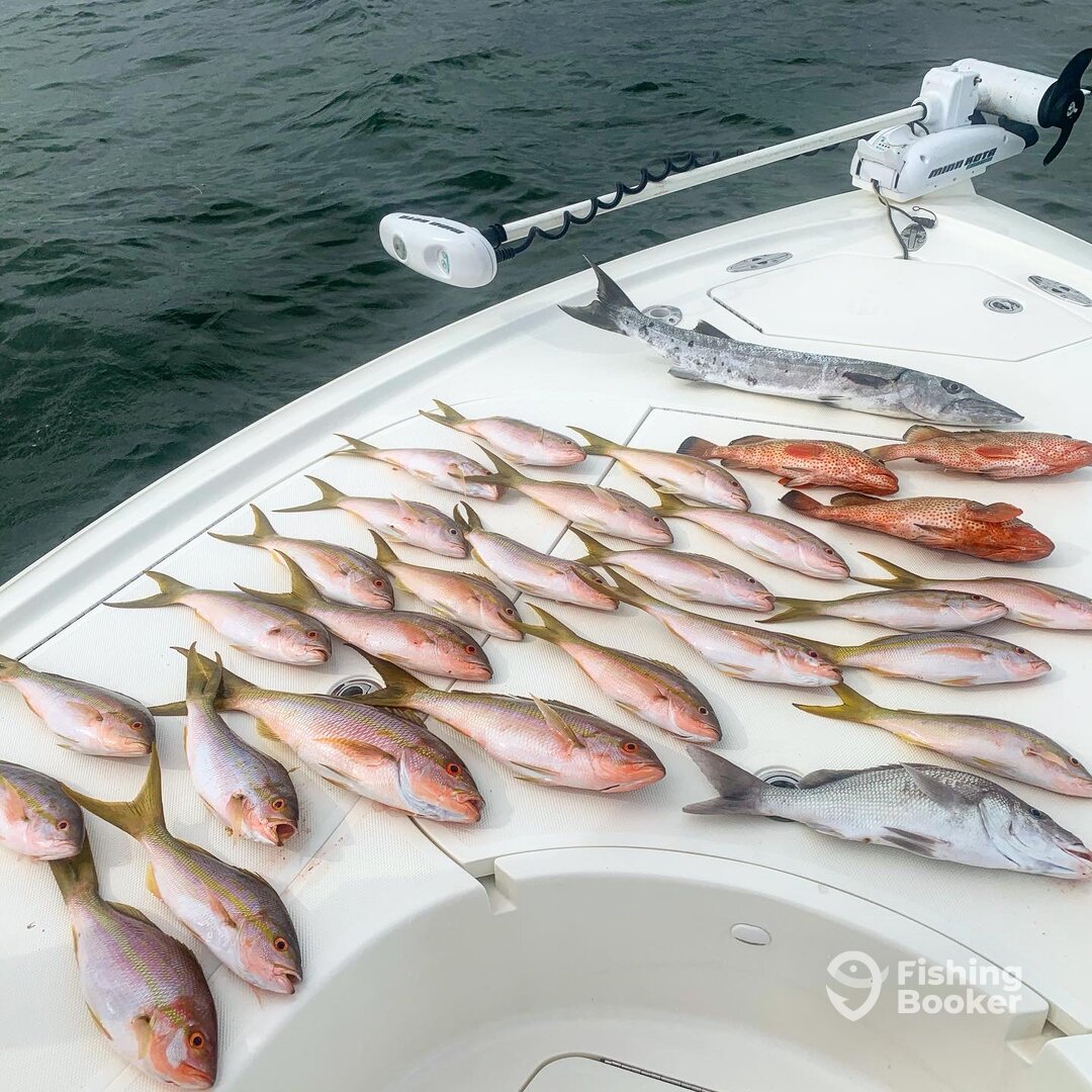 Islamorada Report Photo 0