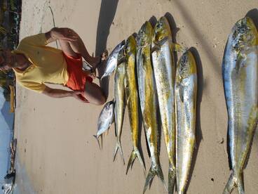 Its the end of summer but still good 