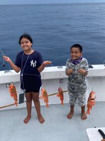 Dania Beach Report Photo 1
