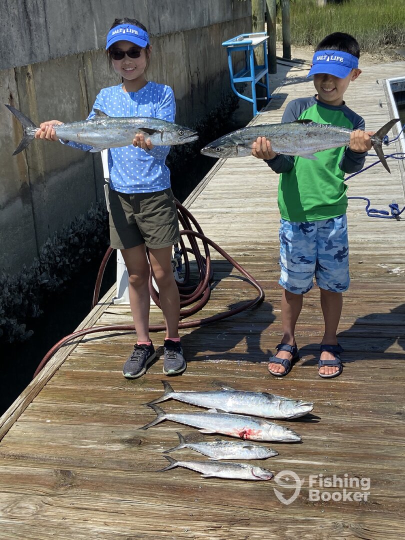 Wilmington Report Photo 0