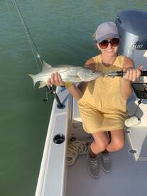 Marco Island Report Photo 1