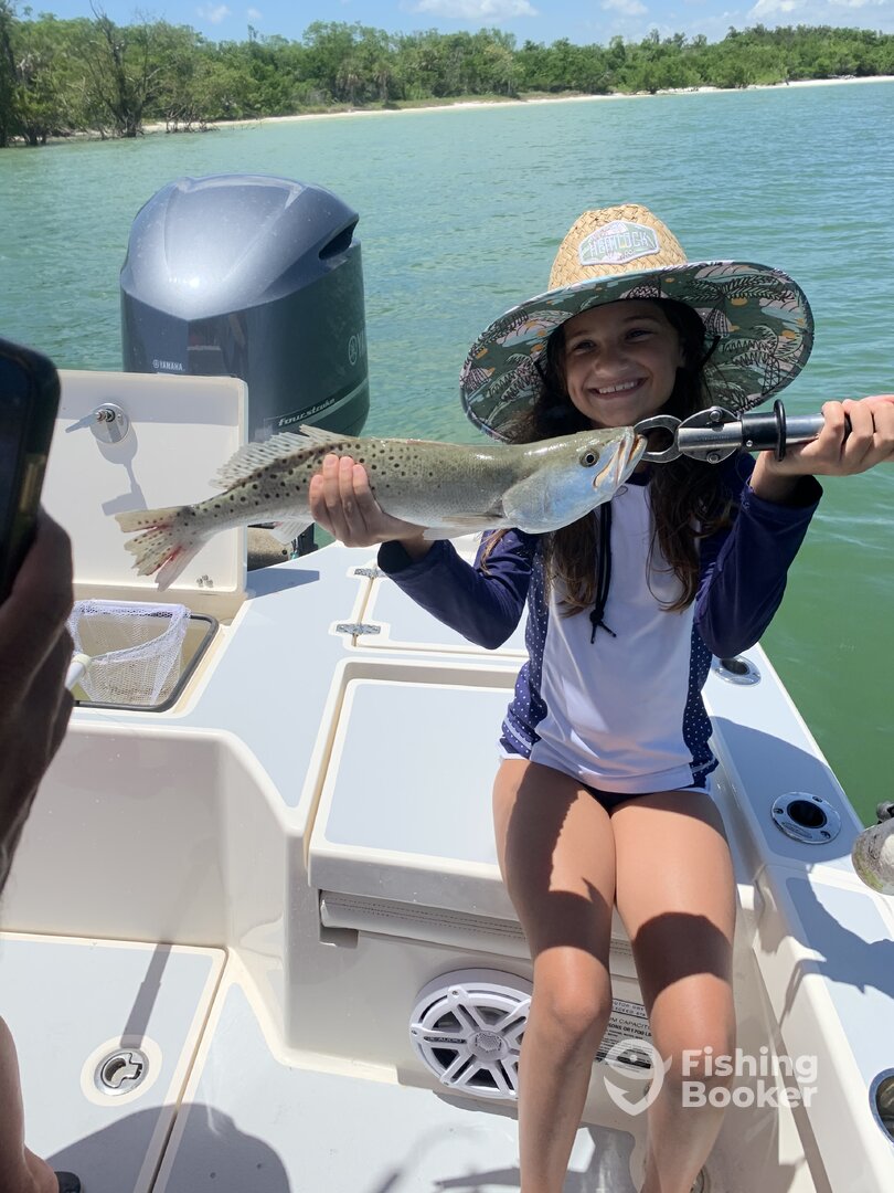 Marco Island Report Photo 0