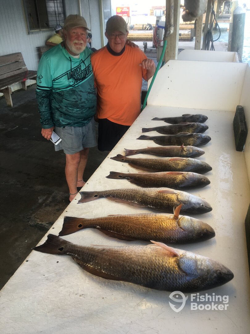 Port O'Connor Report Photo 0