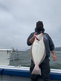 BIG HALIBUT 