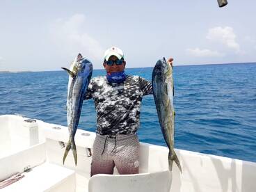 Six Mahi Mahi 