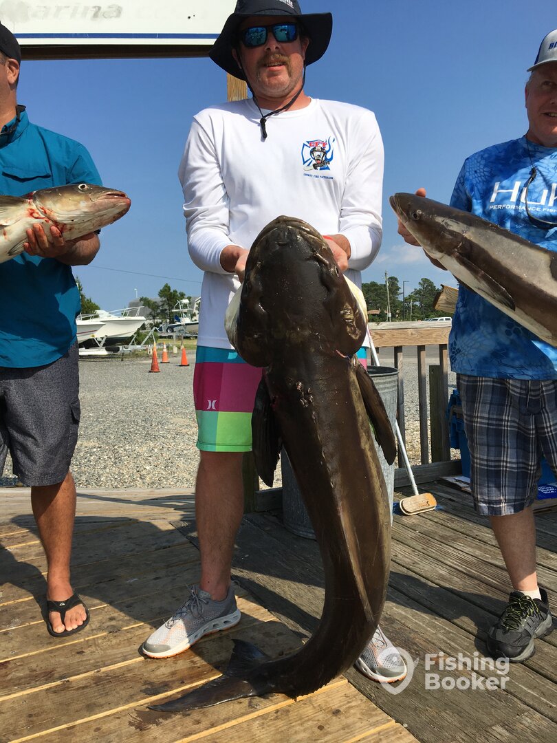 Poquoson Report Photo 0