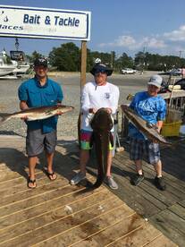 Poquoson Report Photo 1