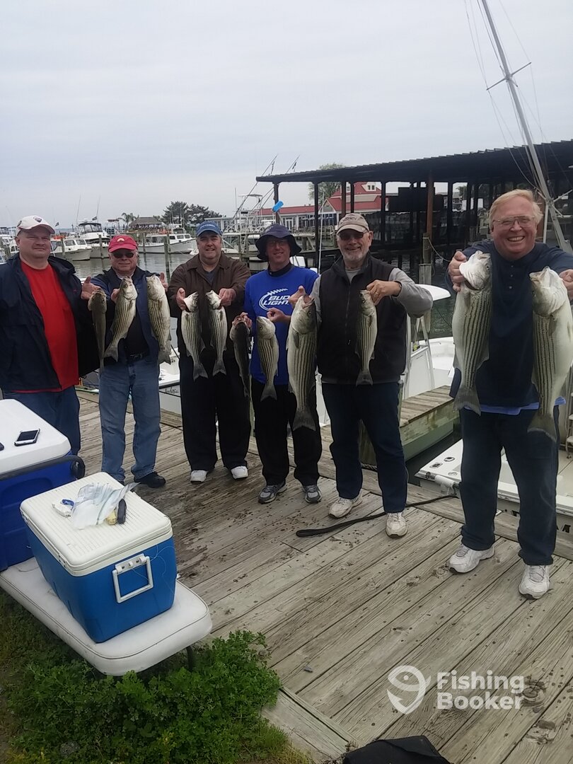 Stevensville Report Photo 0